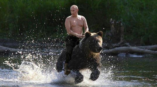 Show putinonbear